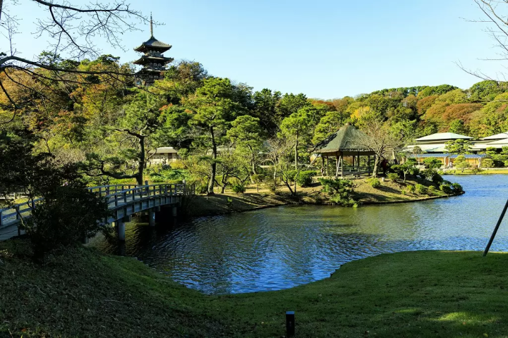 Enjoy Matcha Tea in the Heart of Sankeien Garden, Yokohama