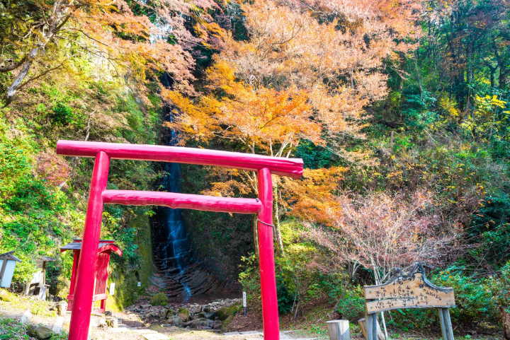 養老渓谷もみじまつり