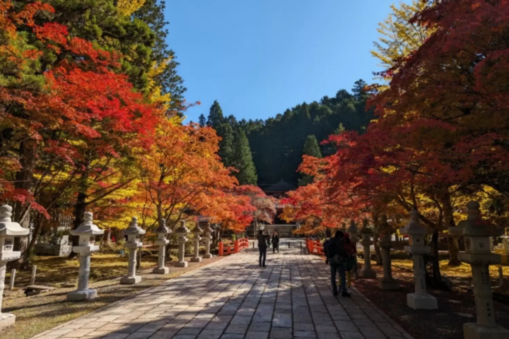 高野山の紅葉