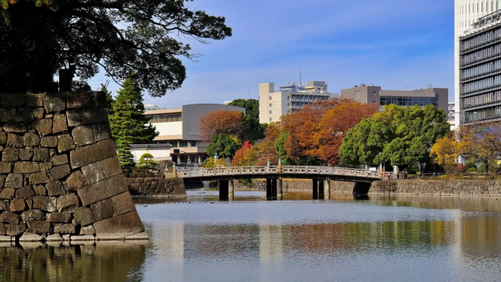 皇居の紅葉