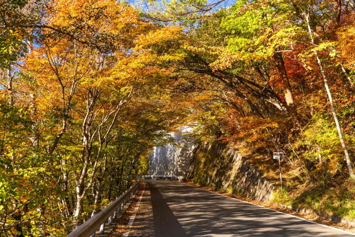 いろは坂の紅葉の見頃はいつ？渋滞回避の方法やアクセスについても解説
