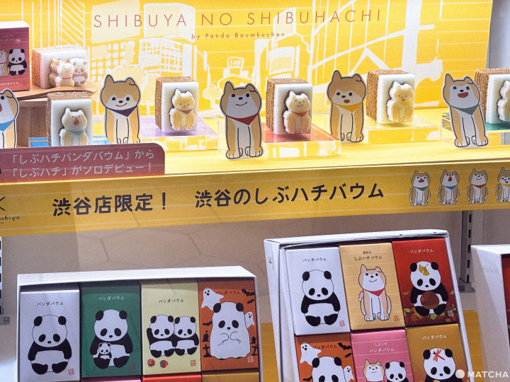 東京澀谷熱門打卡景點！「SHIBUYA SKY」展望台完全攻略