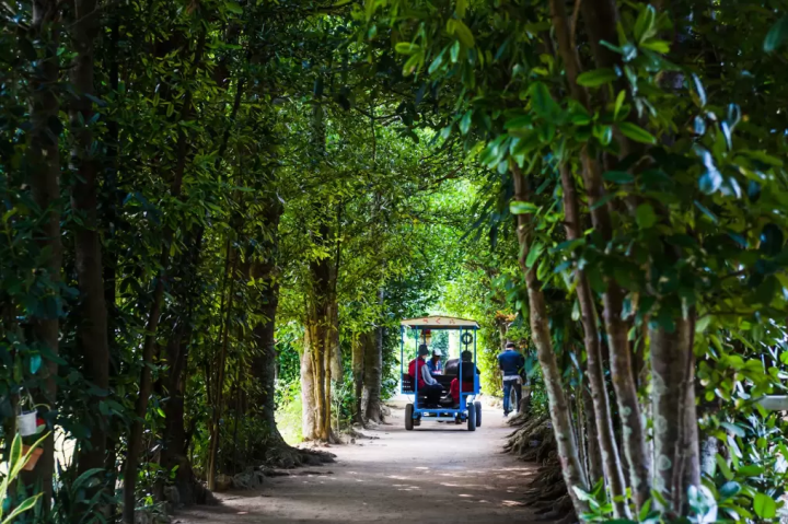 [Okinawa Driving Course] Experience something you can only do in Okinawa! Enjoy the great outdoors and food!