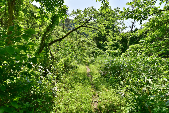 拉普達是真實的！ ？隱藏在大山深處的幽靈遺跡