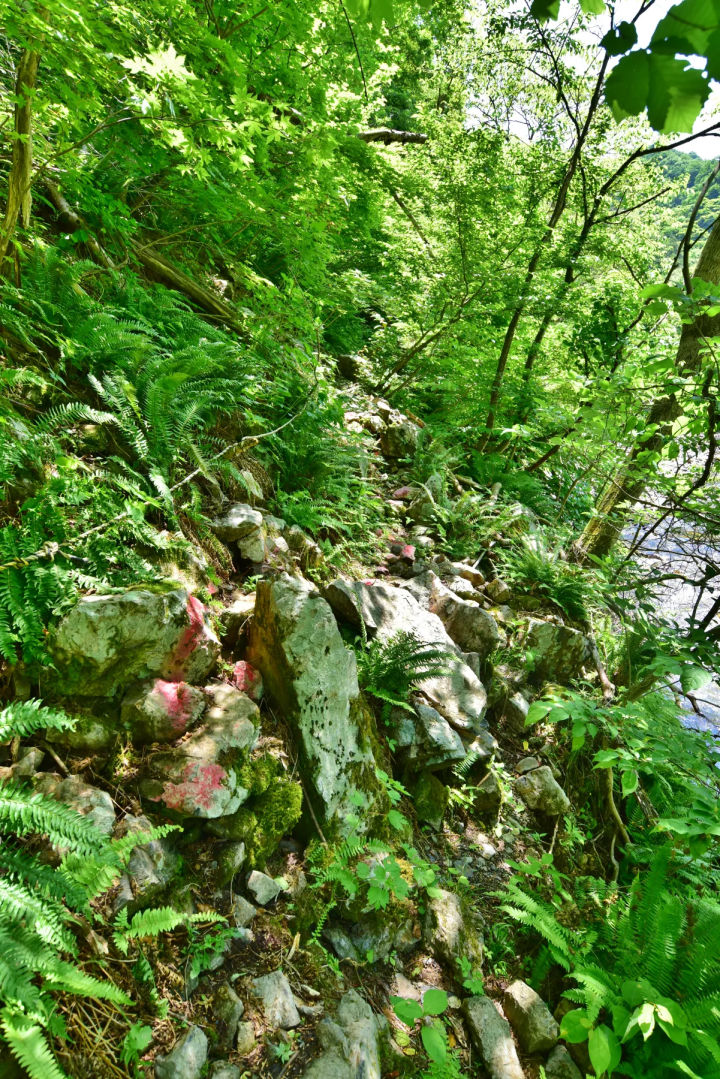 拉普達是真實的！ ？隱藏在大山深處的幽靈遺跡