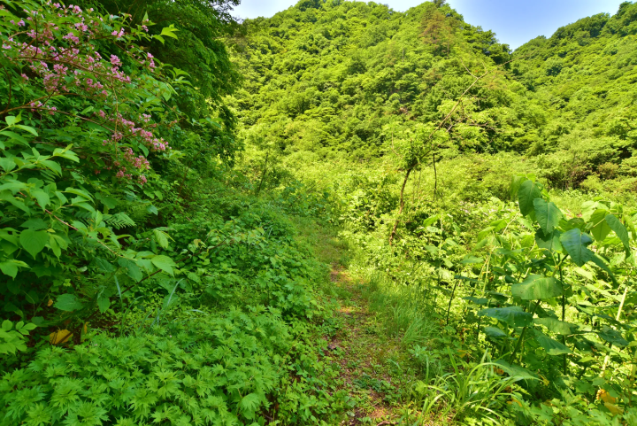 拉普達是真實的！ ？隱藏在大山深處的幽靈遺跡