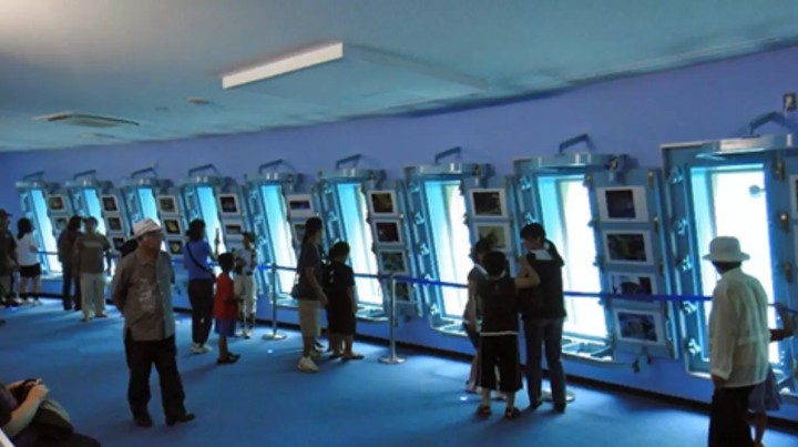 [Okinawa Driving Course] A spectacular emerald green view that spreads before your eyes! Create the best memories in the ocean of Miyakojima!