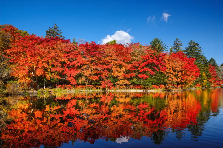 karuizawa kumoba pond