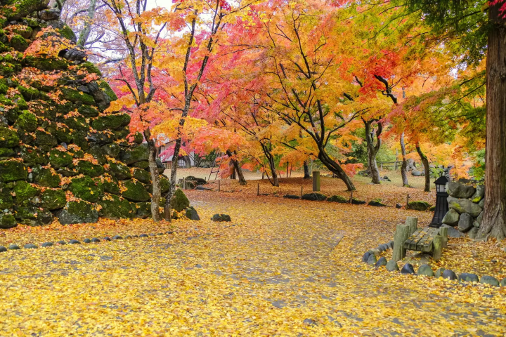 karuizawa komoro kaikoen