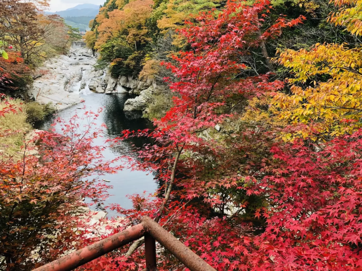 奥津渓　岡山紅葉