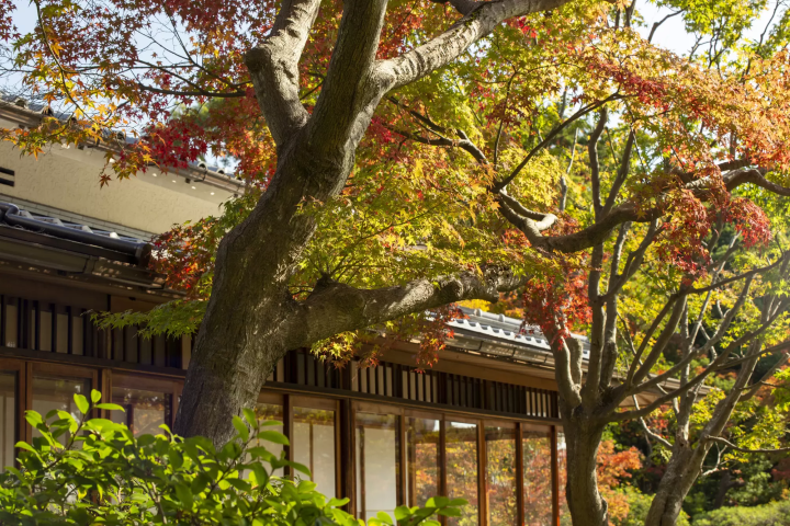 紅葉と須磨離宮