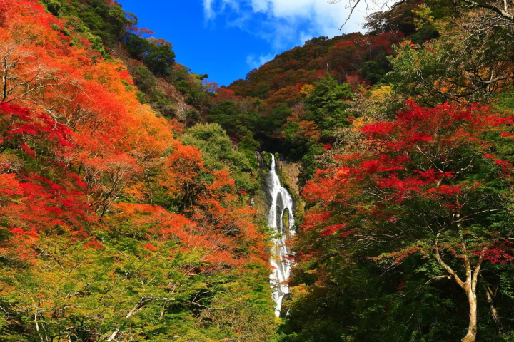 神庭の滝　岡山紅葉