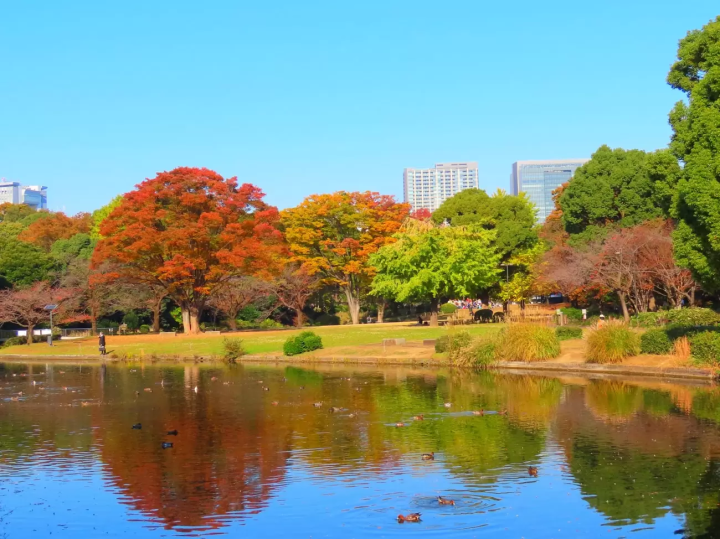 ประสบการณ์พิเศษใน “ใจกลาง” ของโตเกียว ~ ภาพอุกิโยะพิเศษ ทิวทัศน์ที่สวยงาม และอาหารรสเลิศจะจัดขึ้นในวันที่ 20 และ 21 พฤศจิกายน ที่สวนด้านนอกพระราชวังอิมพีเรียลในช่วงใบไม้เปลี่ยนสี ~