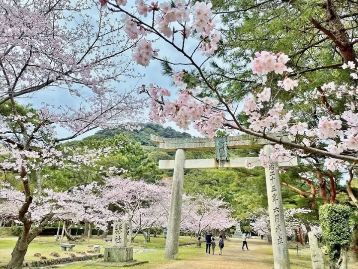 江戸時代の町並みを今もとどめるまち・山口県萩市の丸わかりガイド！-アクセス、観光スポット、お土産などまとめ