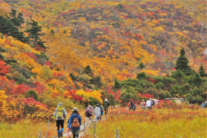 栗駒山的紅葉最佳觀賞時期是什麼時候？看點及周邊的觀光景點介紹！