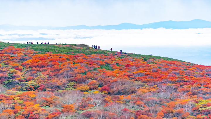 栗駒山的紅葉最佳觀賞時期是什麼時候？看點及周邊的觀光景點介紹！