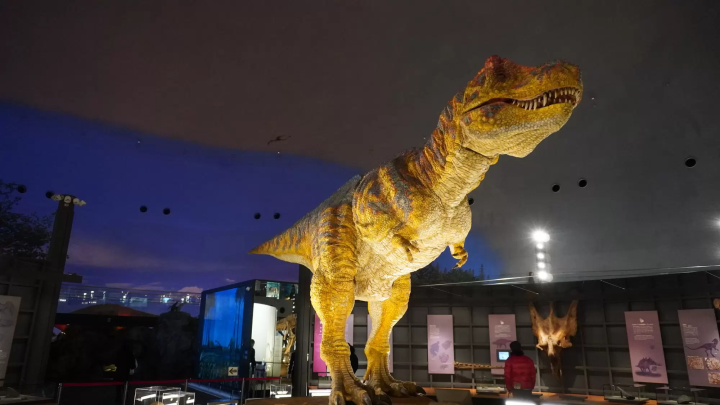 福井縣立恐龍博物館