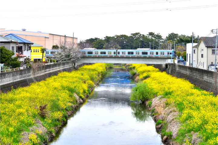 電車で寒川神社へのアクセス