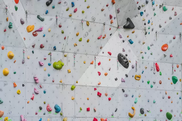 東京非定番室內體驗！遊玩東京奧運競技項目的「抱石」