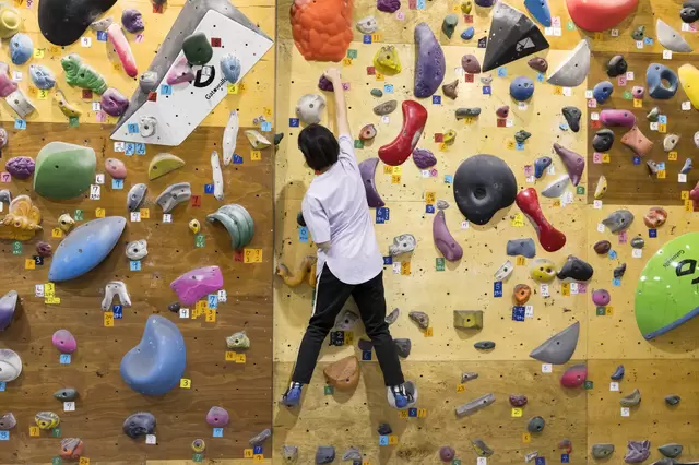 東京非定番室內體驗！遊玩東京奧運競技項目的「抱石」