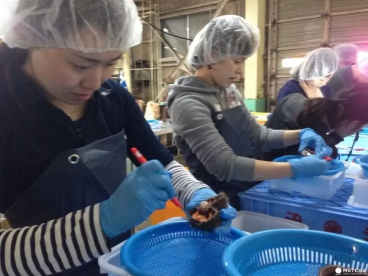 羅臼濱田商店工廠