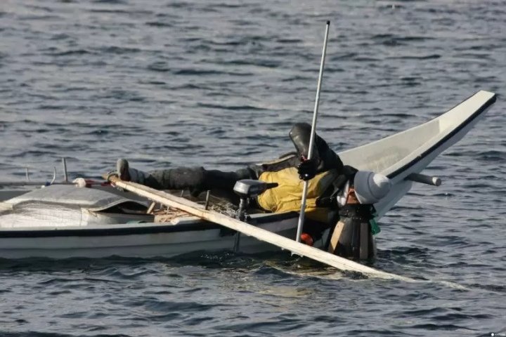濱田商店出海捕海膽