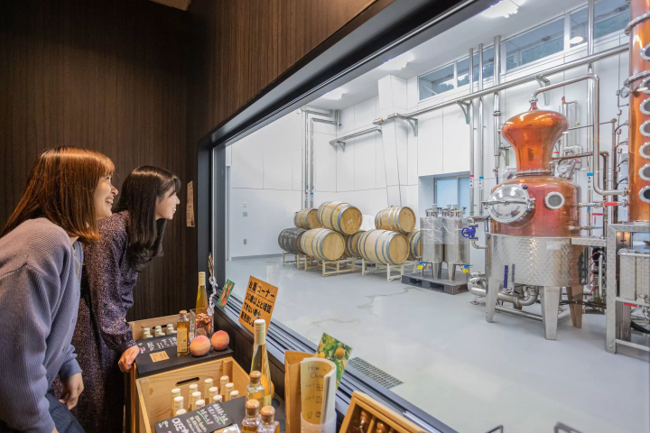 美食之鄉古里山的「發酵」文化