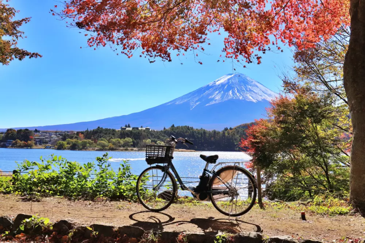 [山梨]從東京到富士山腳和河口湖約2小時！介紹如何訪問