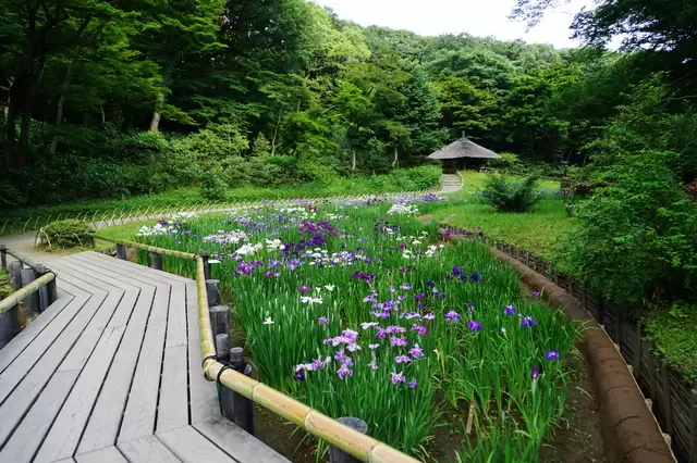 下雨天照樣出門！東京室內、戶外都能玩的梅雨季新提案！