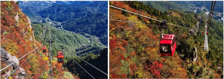 【最新／紅葉は今が見頃】大阪から日帰り旅・絶景の紅葉！「御在所ロープウェイ」