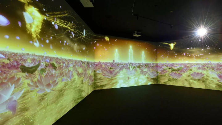 [Held from November 15th to 17th, 2024 at Senju-ji Temple (Tsu City, Mie Prefecture)] Digital Art Night 2024 at Senju-ji Temple, National Treasure Miei-do Hall and National Treasure Nyorai-do Hall