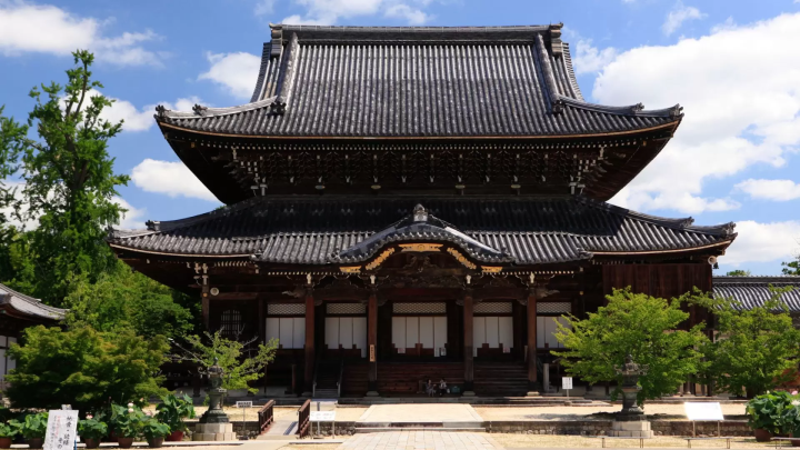 [Held from November 15th to 17th, 2024 at Senju-ji Temple (Tsu City, Mie Prefecture)] Digital Art Night 2024 at Senju-ji Temple, National Treasure Miei-do Hall and National Treasure Nyorai-do Hall