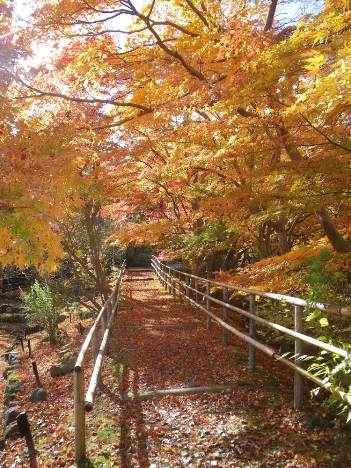 【距離東京約2小時】搭乘龍之鐵路大船渡線探索岩手一關市隱藏的瑰寶與魅力