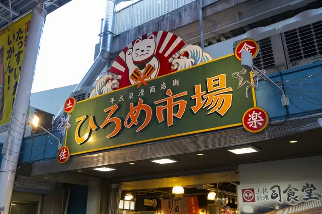 四國自由行：在高知才能體驗的四大行程