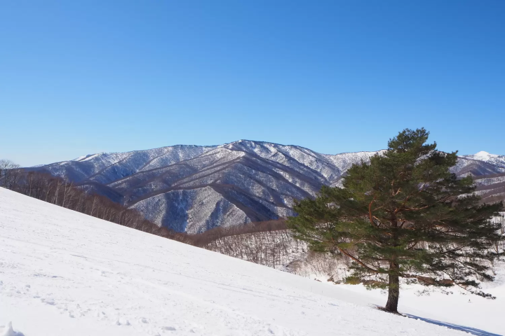 スノーパーク尾瀬戸倉