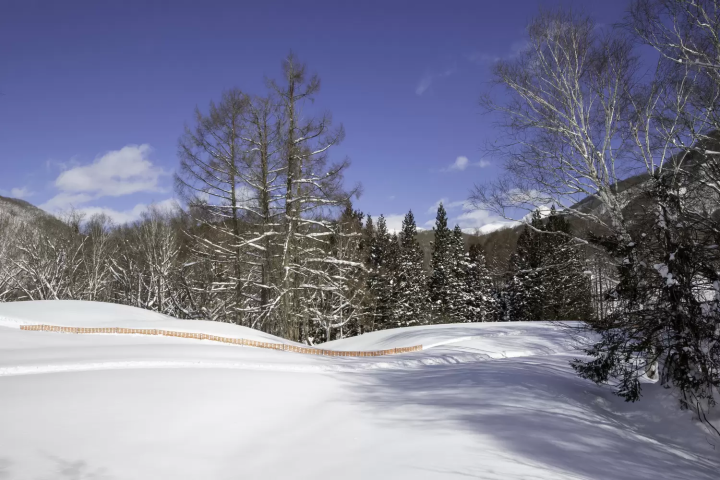 【2024-25】群馬県のおすすめスキー場11選！安い穴場スポットもご紹介