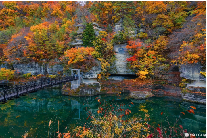 Discover Fukushima's Best Fall Foliage in 2024: Hidden Gems and Spectacular Light Displays!