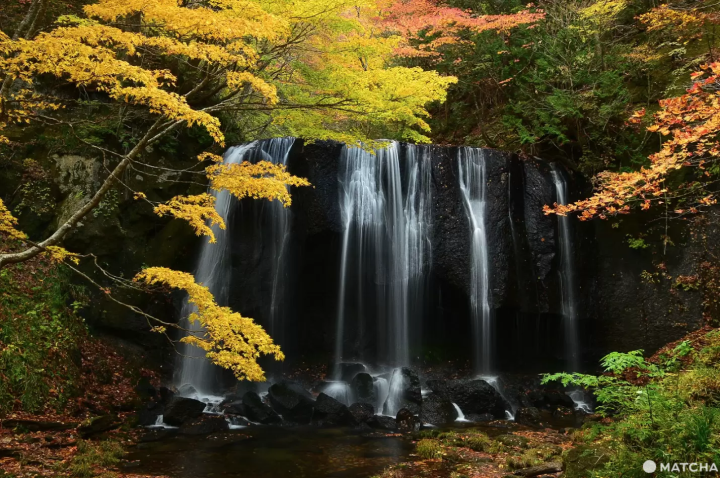 Discover Fukushima's Best Fall Foliage in 2024: Hidden Gems and Spectacular Light Displays!