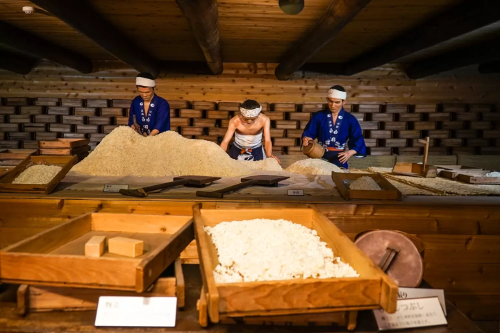 고베의 매력을 찾는: 다양한 테마로 즐기는 박물관 가이드