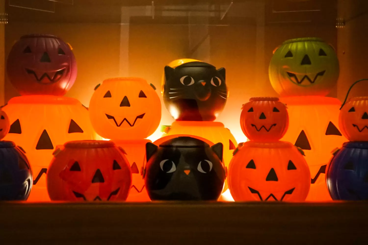 고베의 매력을 찾는: 다양한 테마로 즐기는 박물관 가이드