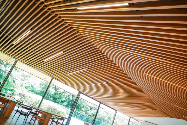 고베의 매력을 찾는: 다양한 테마로 즐기는 박물관 가이드