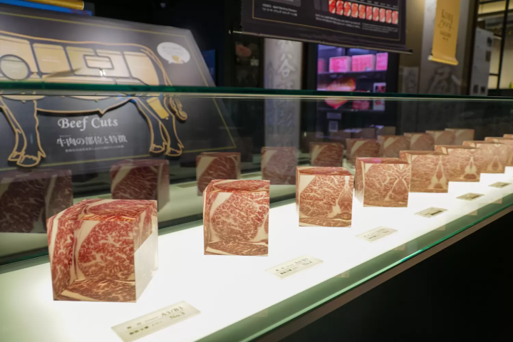 고베의 매력을 찾는: 다양한 테마로 즐기는 박물관 가이드