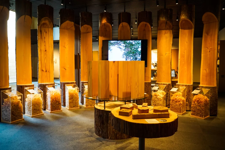 고베의 매력을 찾는: 다양한 테마로 즐기는 박물관 가이드