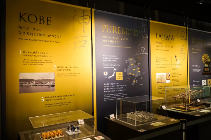 고베의 매력을 찾는: 다양한 테마로 즐기는 박물관 가이드