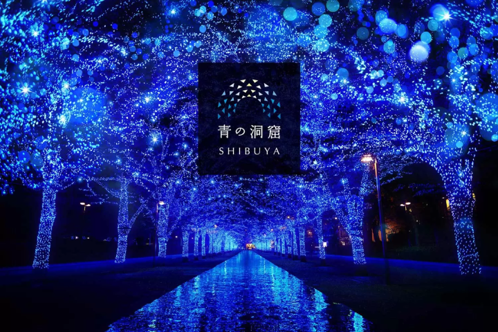 青の洞窟 SHIBUYAのイルミネーションの様子