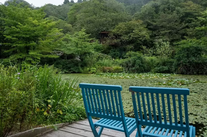 ▲A garden with a nice atmosphere even on a rainy day