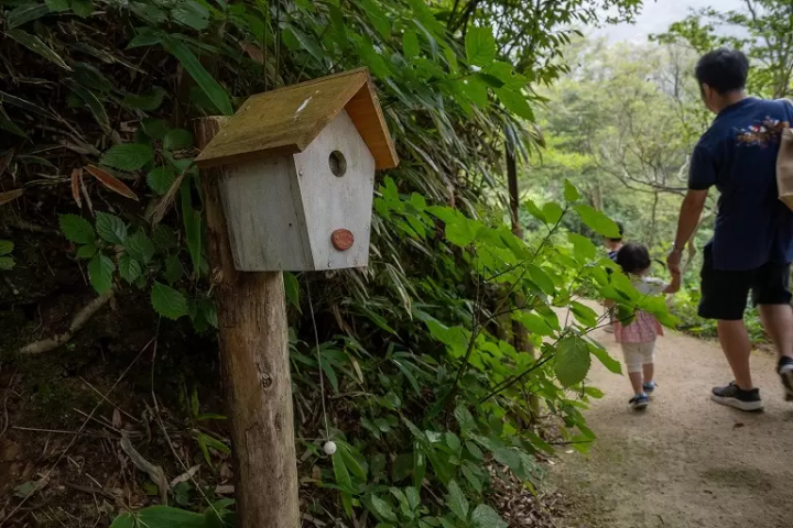 ▲A birdhouse-shaped music box on the museum grounds
