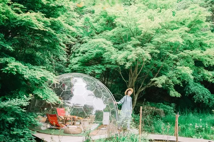 ▲You can rent out the SIKI Dome (a 360-degree transparent dome-shaped tent) and enjoy lunch in a picnic-like atmosphere.
