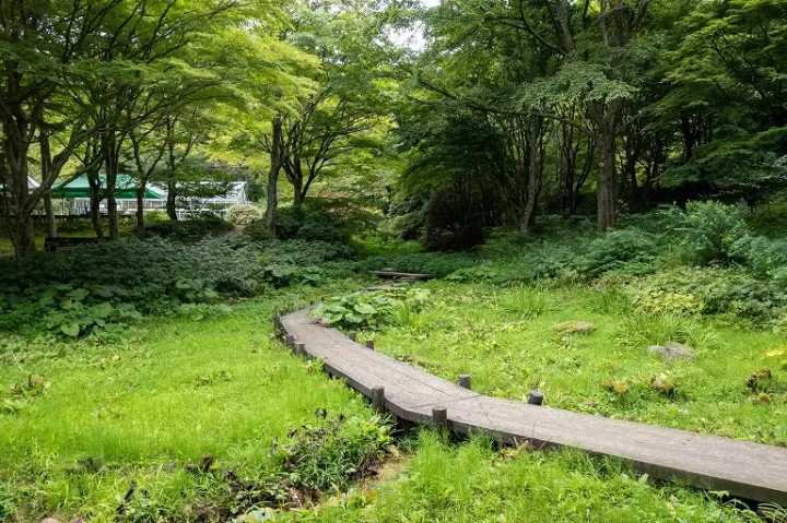 30 Minutes Away from Kobe. Spending an Afternoon at a Museum and Botanical Garden where you can Feel the Nature