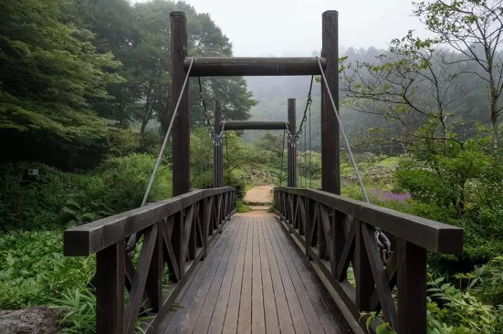 30 Minutes Away from Kobe. Spending an Afternoon at a Museum and Botanical Garden where you can Feel the Nature